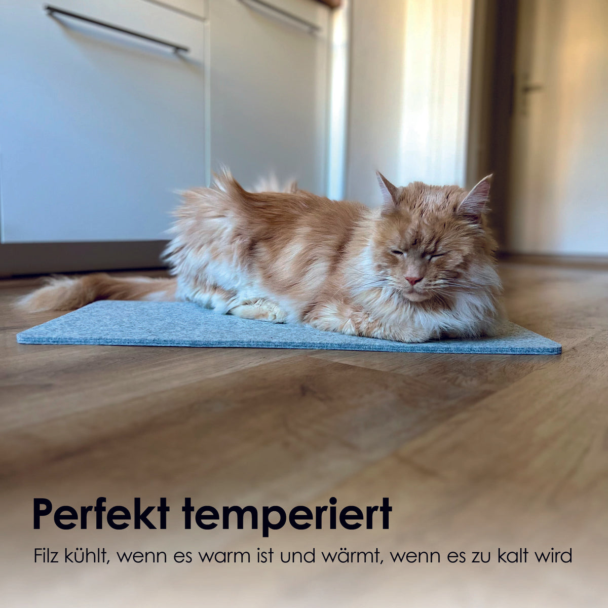 FELTY wool felt pad for window sill